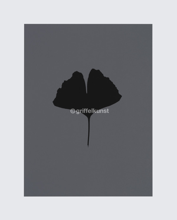 404 A1 403 C2 ohne Titel