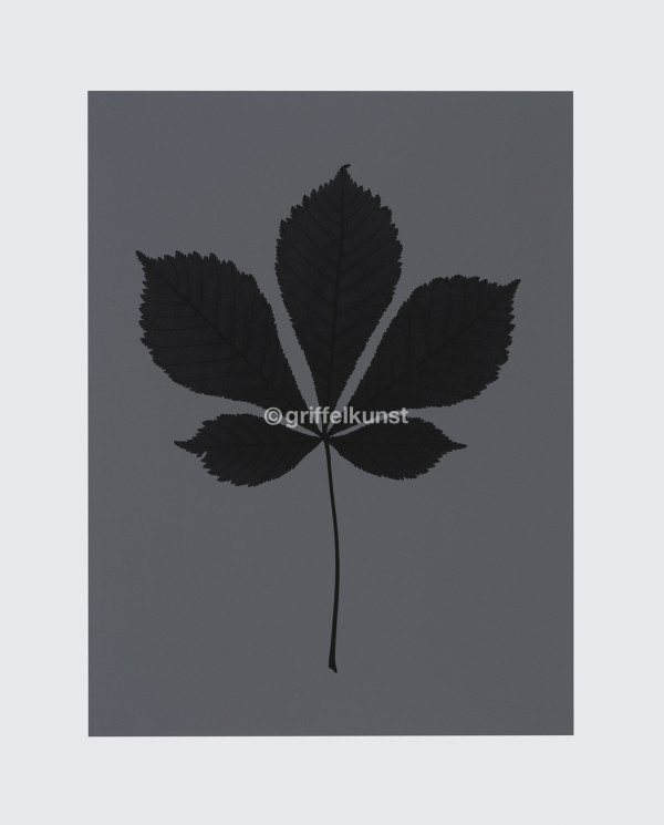 404 A2 ohne Titel