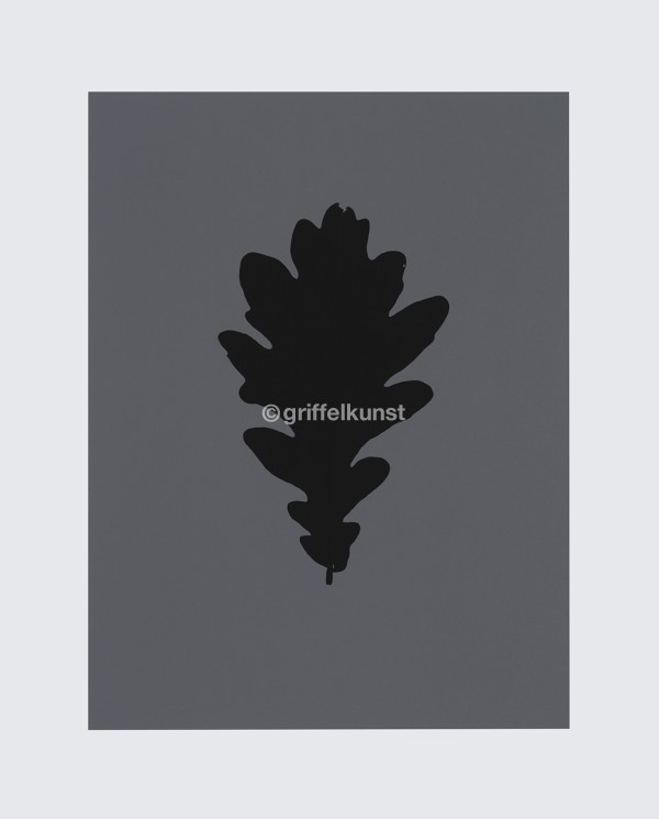 404 A6 ohne Titel