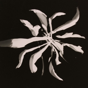 GriffelkunstVereinigung Hamburg e.V.